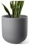 LE TAUCI 8 Inch Plant Pot, Ceramic Pot by LETAUCI