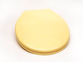 2Q1R6-50 Builder Grade Slow Close Plastic Toilet Seat by BathDecor