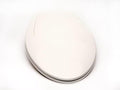 2Q1E6-04 Builder Grade Slow Close Plastic Toilet Seat by BathDecor