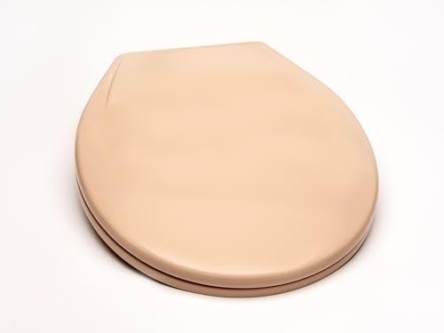 2Q1R6-30 Builder Grade Slow Close Plastic Toilet Seat by BathDecor