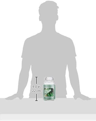 Village Candle Eucalyptus Mint Large Glass Apothecary Jar Scented Candle - Image 3