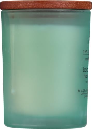 Chesapeake Bay Balance + Harmony Scented Candle Water Lily Pear Fragrance 50 - Image 9