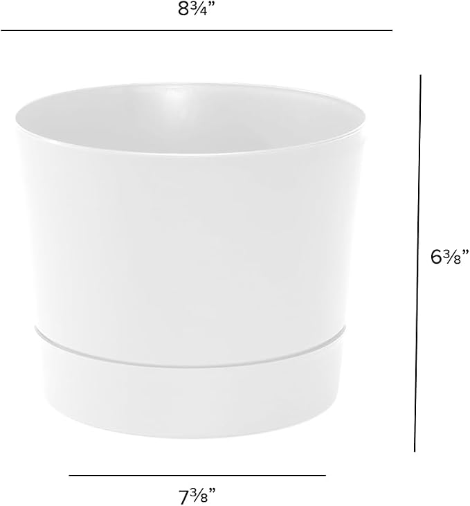 Root & Vessel Majestic Mid-Century Modern Low Profile Cylinder Pot, Matte White - Image 4