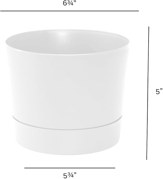 Root & Vessel Majestic Mid-Century Modern Low Profile Cylinder Pot, Matte White - Image 5