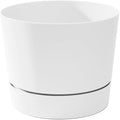 Root & Vessel Majestic Mid-Century Modern Low Profile Cylinder Pot, Matte White by Novelty