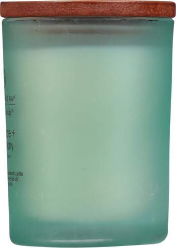 Chesapeake Bay Balance + Harmony Scented Candle Water Lily Pear Fragrance 50 - Image 10