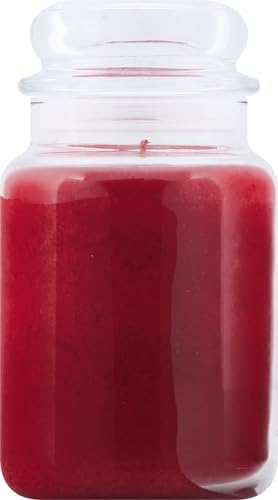 Yankee Candle Sparkling Cinnamon Scented, Classic 22oz Large Jar Single Wick - Image 3