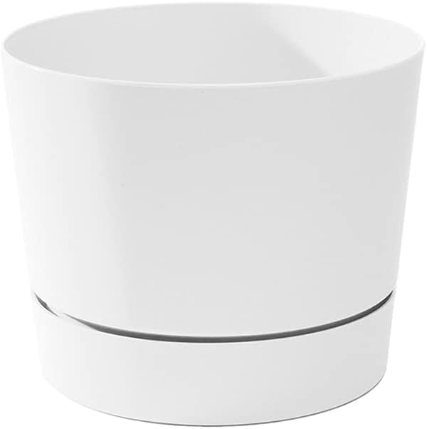 Root & Vessel Majestic Mid-Century Modern Low Profile Cylinder Pot, Matte White by Novelty