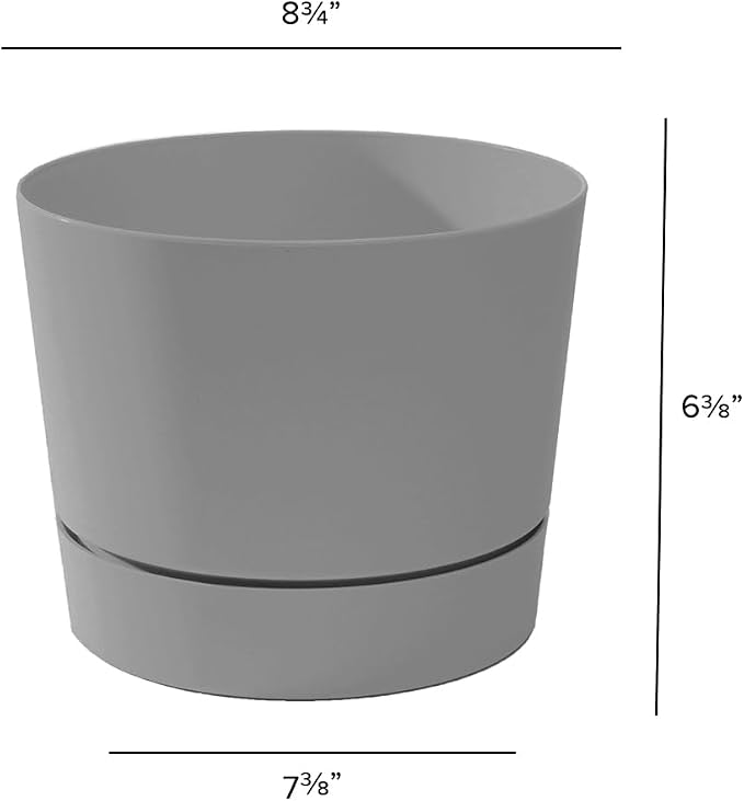 Root & Vessel Majestic Mid-Century Modern Low Profile Cylinder Pot, Matte Gray - Image 5