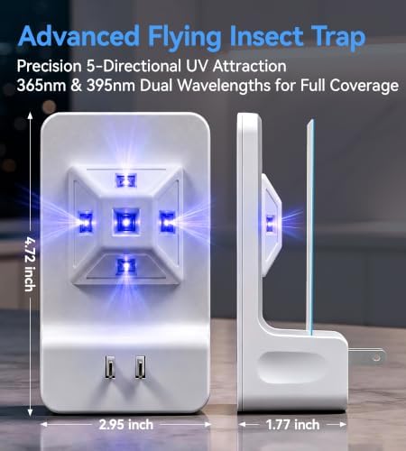 Unique Double-Sided Fruit Fly Traps - Image 4