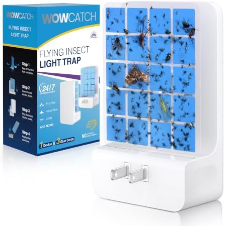 Unique Double-Sided Fruit Fly Traps by WOWCATCH