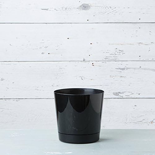 Novelty Root & Vessel Majestic Full Depth Round Cylinder Pot, Glossy Black - Image 3