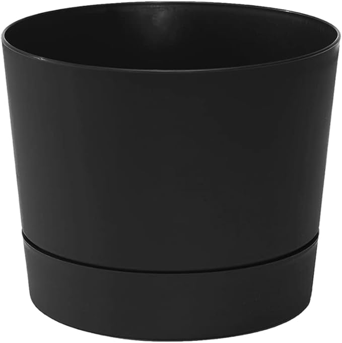 Root & Vessel Majestic Mid-Century Modern Low Profile Cylinder Pot, Matte Black by Novelty