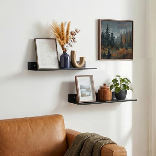 Z metnal Small Decor Shelves, Mini Floating Display Wall Shelf - Image 2