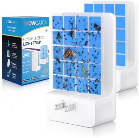 Novel Double-Sided Fruit Fly Traps by WOWCATCH