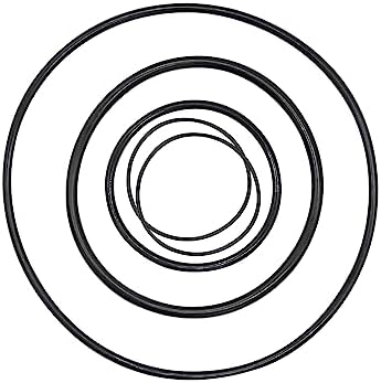 O-Ring Repair Rebuild Kit for VS FloPro & Jandy & Zodiac FHPF, FloPro Pump - Image 2