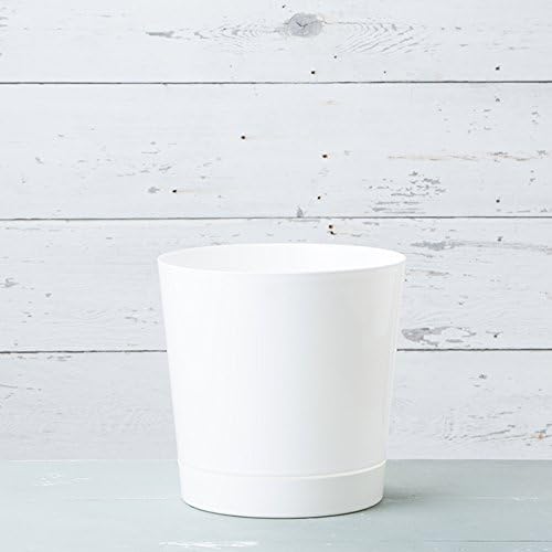 Root & Vessel Majestic Full Depth Cylinder Pot, Glossy White - Image 4