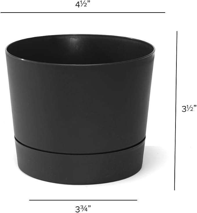 Root & Vessel Majestic Mid-Century Modern Low Profile Cylinder Pot, Matte Black - Image 5