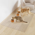 3'×4' Area Mat for Hard Floor, Plastic Floor Mat for Litter Boxes by BelleCosy