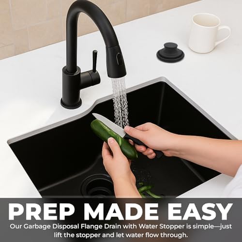 Garbage Disposal Flange Drain - Image 5