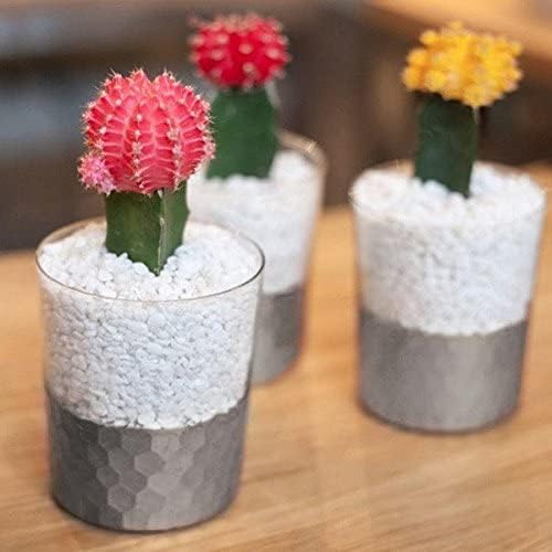 Hosley Argea Glass Bud Vases Set of 2, 6.25-Inch Small Vases - Image 4