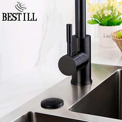 BESTILL Sink Top Garbage Disposal Air Switch Button - Image 2