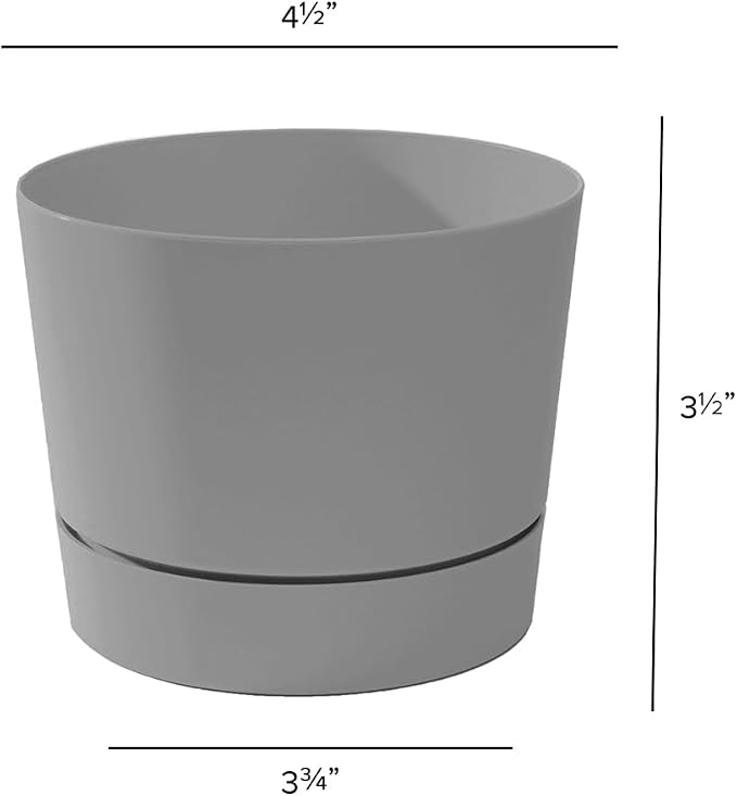 Root & Vessel Majestic Mid-Century Modern Low Profile Cylinder Pot, Matte Gray - Image 5