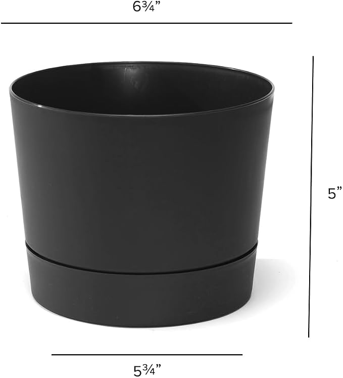Root & Vessel Majestic Mid-Century Modern Low Profile Cylinder Pot, Matte Black - Image 5