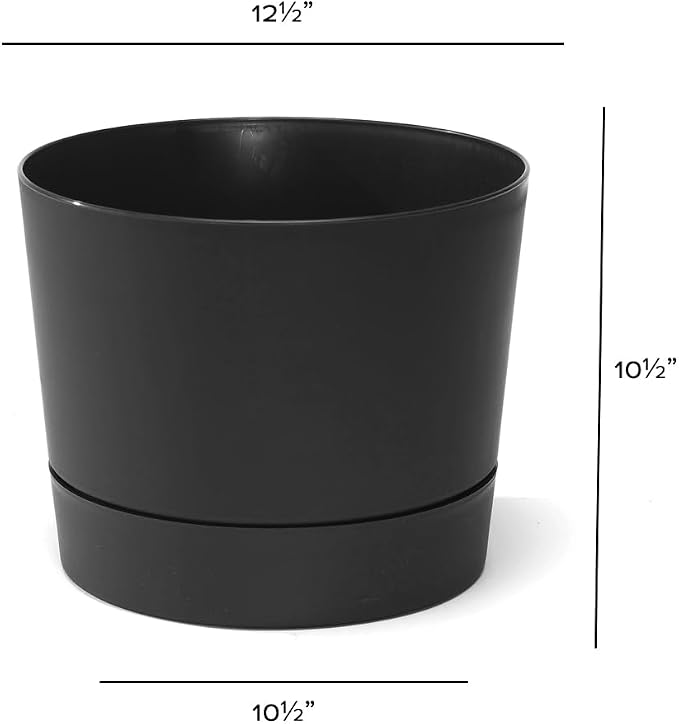 Root & Vessel Majestic Mid-Century Modern Low Profile Cylinder Pot, Matte Black - Image 5