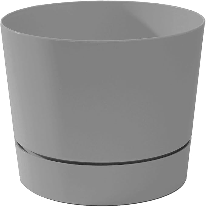 Root & Vessel Majestic Mid-Century Modern Low Profile Cylinder Pot, Matte Gray by Novelty