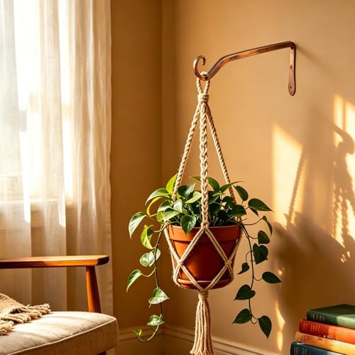 LOOGI Hanging Plant Bracket, Wall Hook Plant Hanger 6 Inch Decorative Hooks - Image 6