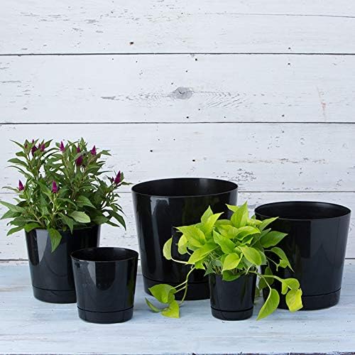 Novelty Root & Vessel Majestic Full Depth Round Cylinder Pot, Glossy Black - Image 5
