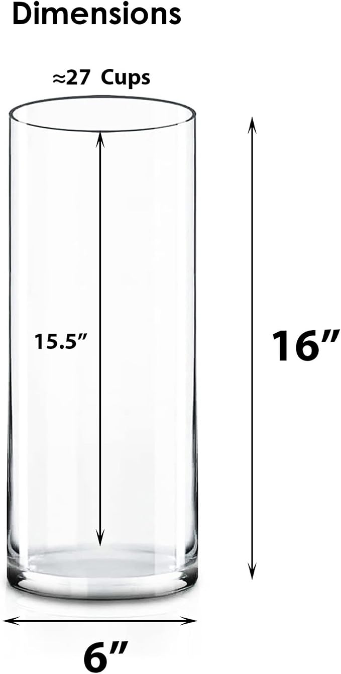 CYS EXCEL Cylinder Clear Glass Vase | Multiple Size Choices Glass Flower Vase - Image 5