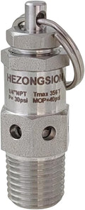 1/4" NPT Male Adjustable Pressure Relief Safety Valve, 30psi Set Pressure by HEZONGSION