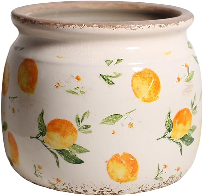Lemon Ceramic Planter, Italian Mediterranean Flower Pot by XiaanJiaju