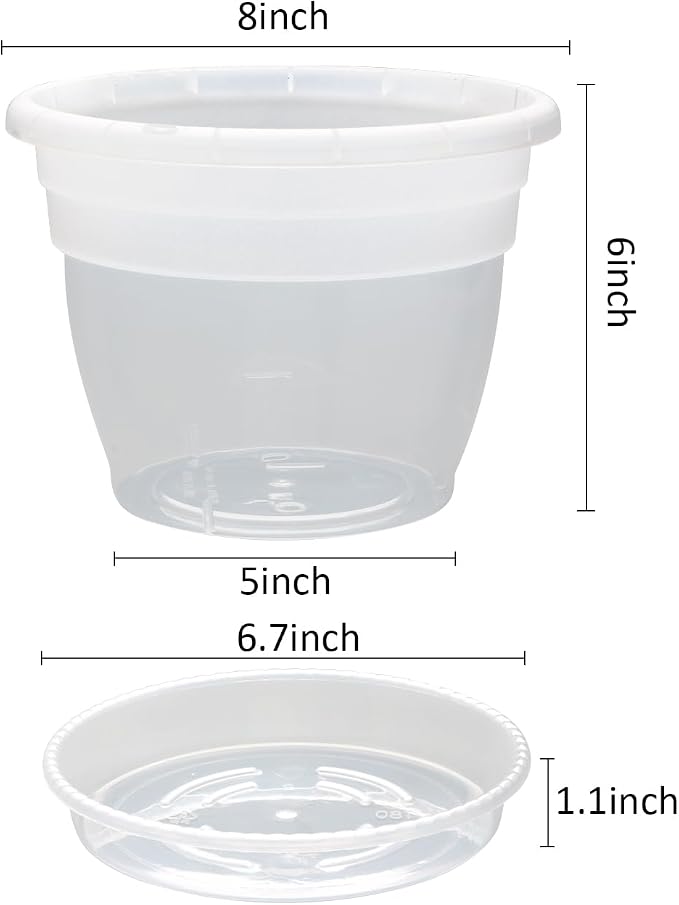 RooTrimmer 8 Inch Clear Nursery Pots - Image 2