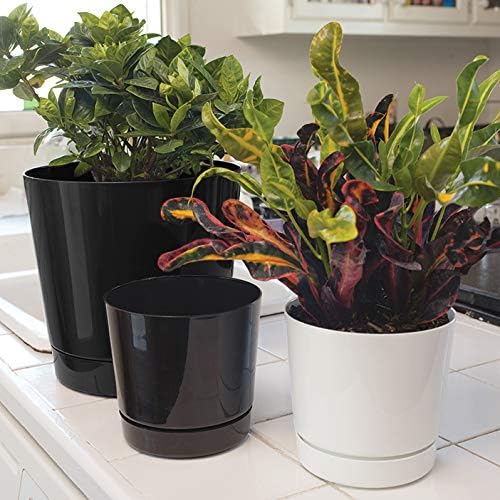 Root & Vessel Majestic Full Depth Round Cylinder Pot, Glossy Black - Image 6