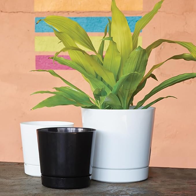 Novelty Majestic Full Depth Cylinder Pot, Glossy White - Image 8