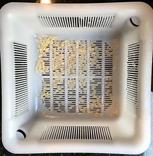 8.5" Floor Sink Basket, for Restaurant Floor Sink drains, Prevent Drain Clogs - Image 7