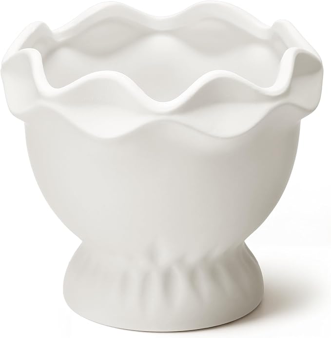 1 Pack White Ceramic Plant Pots Small Rustic, Novel | Decorative Flower Planter by Ferrochef
