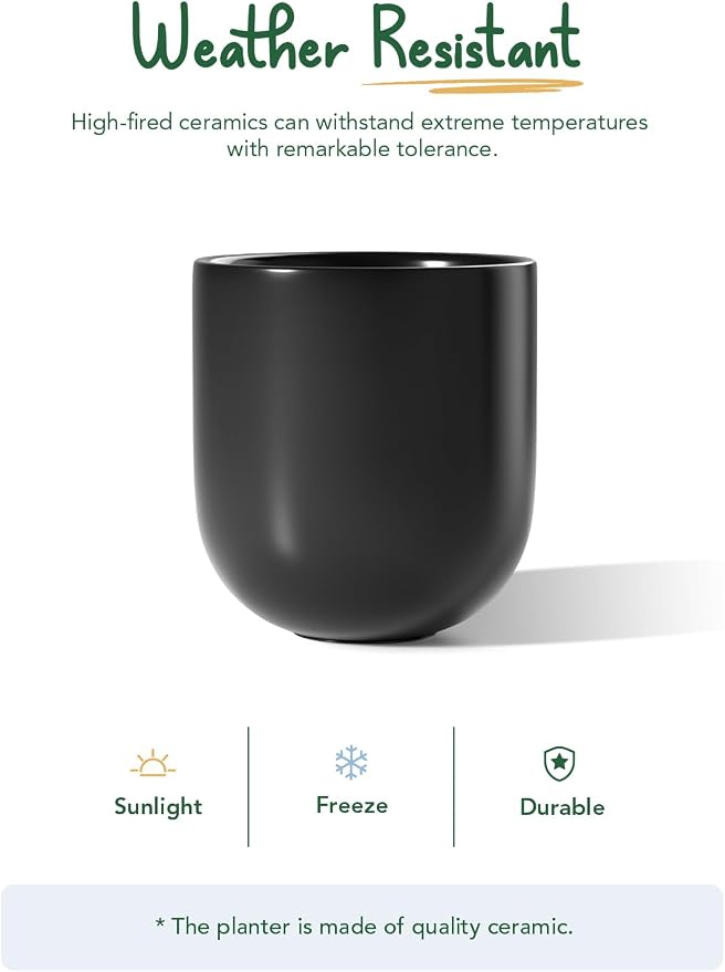 LE TAUCI 10 Inch Plant Pot, Ceramic Pots - Image 5