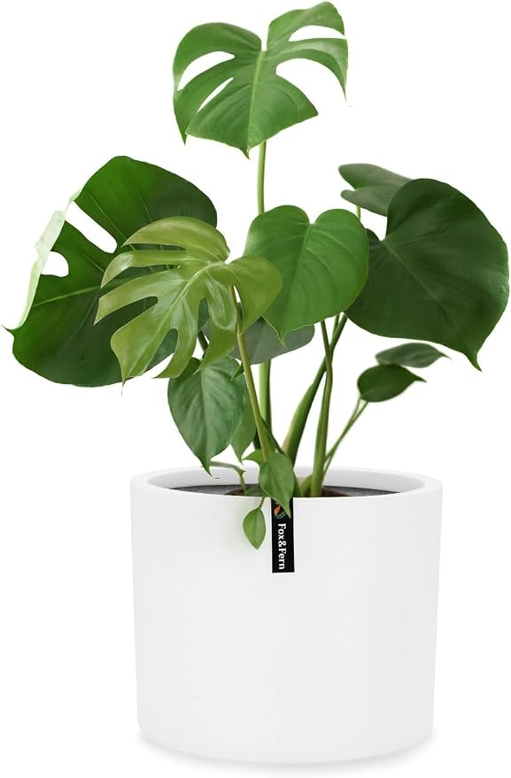 Fox & Fern Large Planter for Indoor or Outdoor, Matte White, 10 Inch | UV & by FoxFern