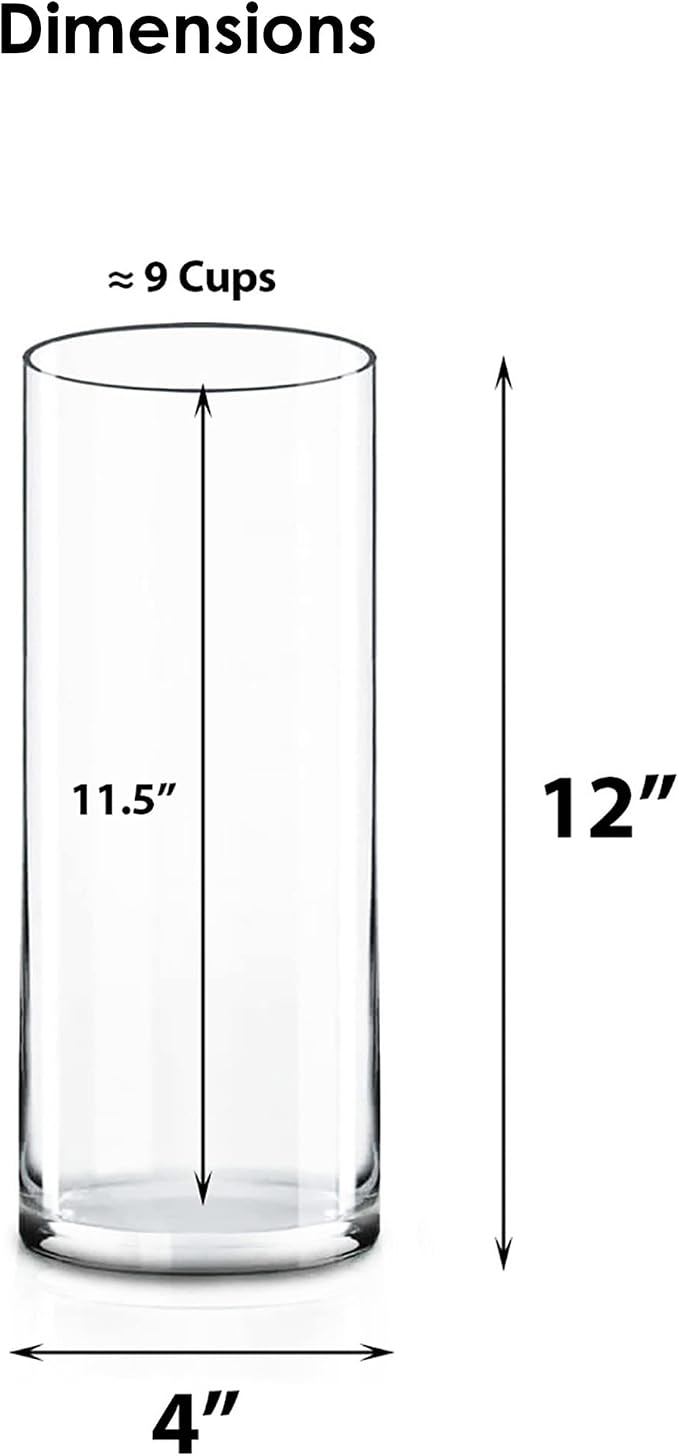 CYS Excel Clear Glass Cylinder Vase | Multiple Size Choices Glass Flower Vase - Image 2