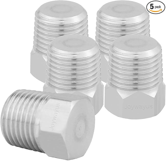 Joywayus 5Pcs Stainless Steel Outer Hex Thread Socket Pipe Plug Fitting 1/8" by Joywayus