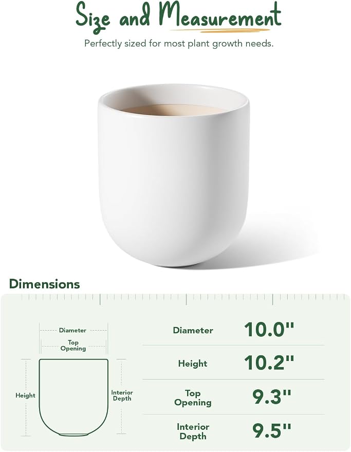 LE TAUCI 10 Inch Plant Pot, Ceramic Pots - Image 6