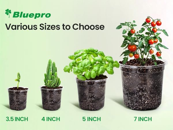 Bluepro Clear Nursery Pots - Image 6