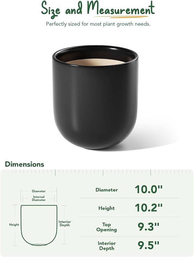 LE TAUCI 10 Inch Plant Pot, Ceramic Pots - Image 3