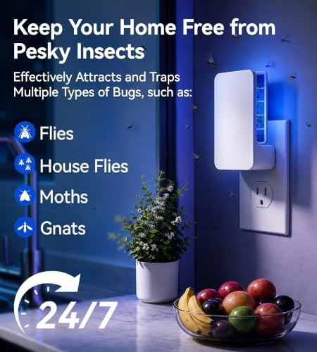 Unique Double-Sided Fruit Fly Traps - Image 2