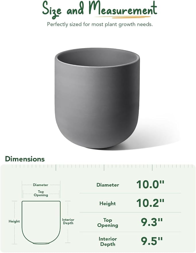 LE TAUCI 10 Inch Plant Pot, Ceramic Pots - Image 4