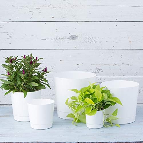 Novelty Majestic Full Depth Round Cylinder Pot, Glossy White - Image 6